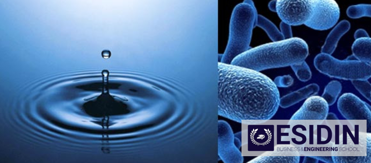 Formación Legionella Sevilla | ANDALUCIA