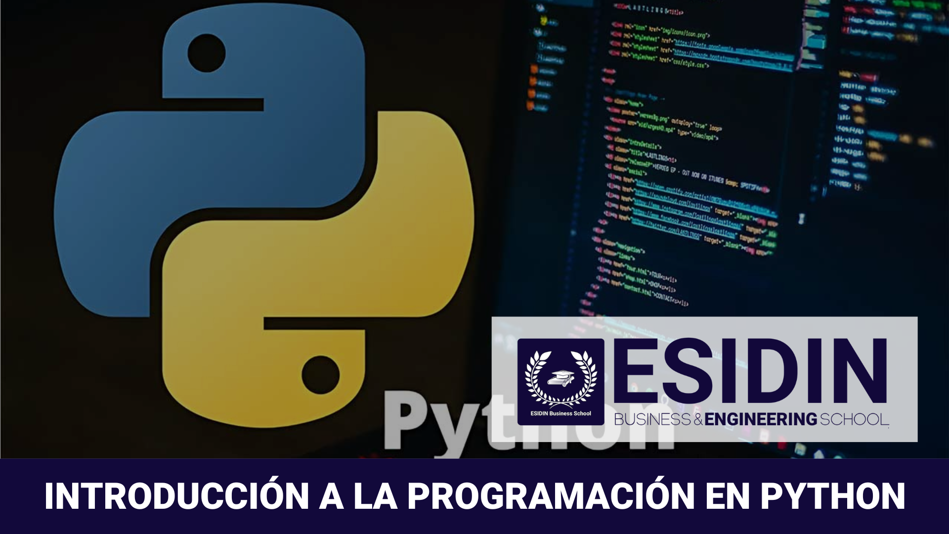 Curso Programación Online